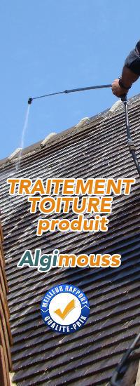 Nettoyage, traitement anti mousse toiture - 44600 St Nazaire
