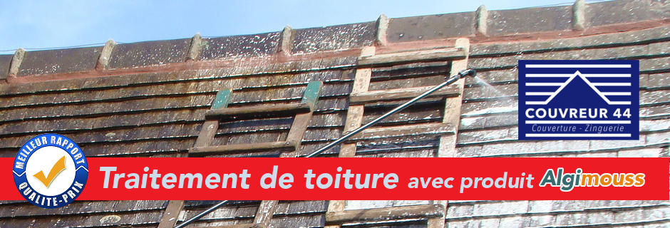 diapo3-couvreur-44-demoussage-toiture-hydrofuge-44600-st-Nazaire-trignac-le-pouliguen-la-turballe.jpg