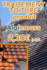 entretien de toiture : démoussage et traitement hydrofuge aroise et tuile Couvreur 44 - St Nazaire